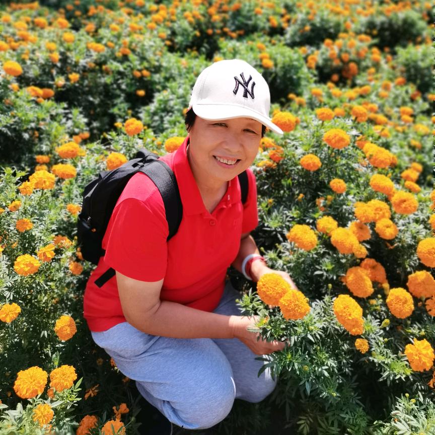 葫芦王（手机特效）