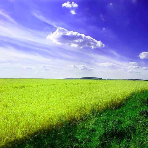 一生何求（6976437747254）