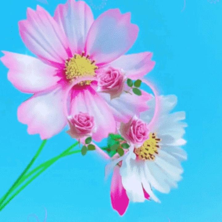 @ღ°糖很甜ʚ᭄༊：ღ