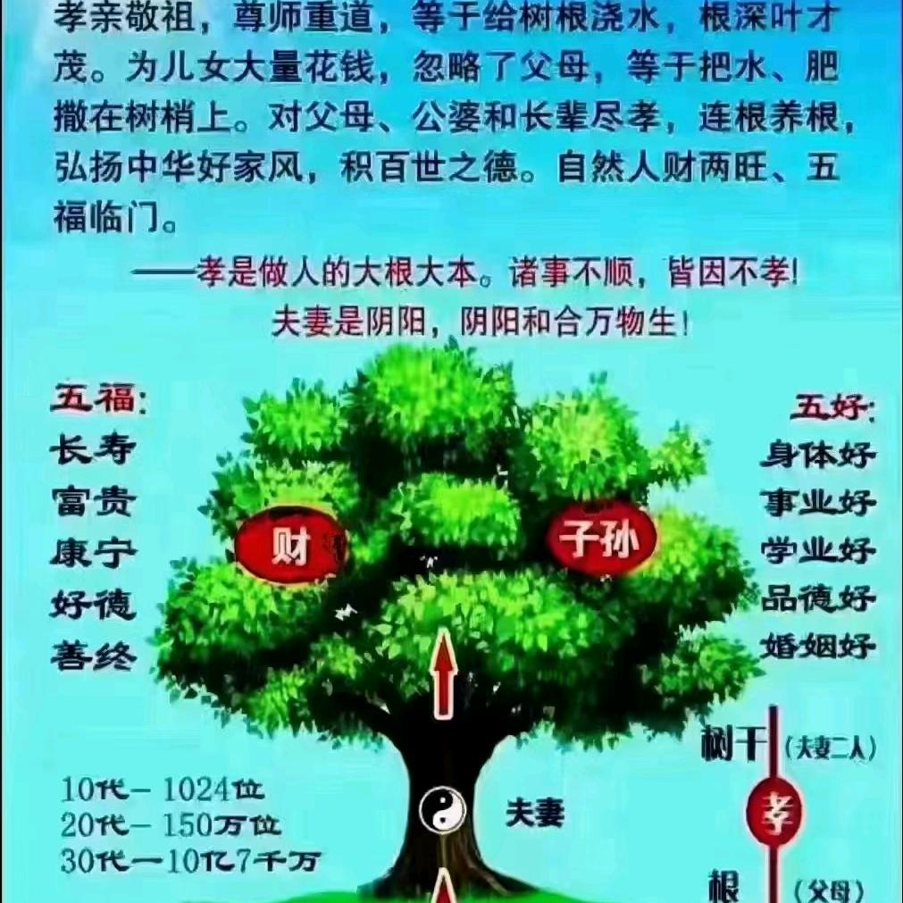 向晚有晴天
