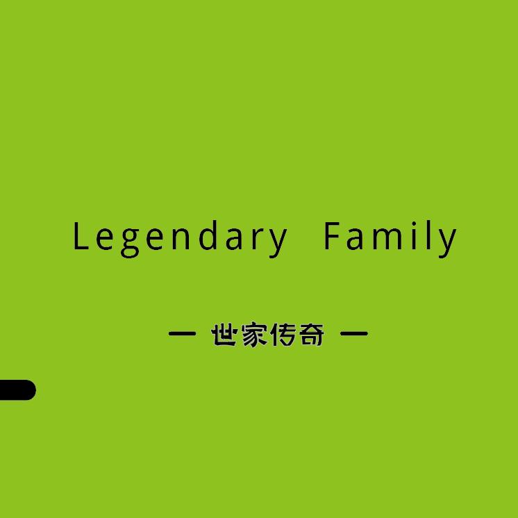 世家传奇服装