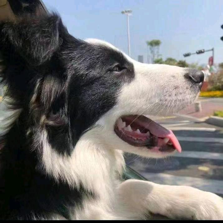 终盼枯（组局版）