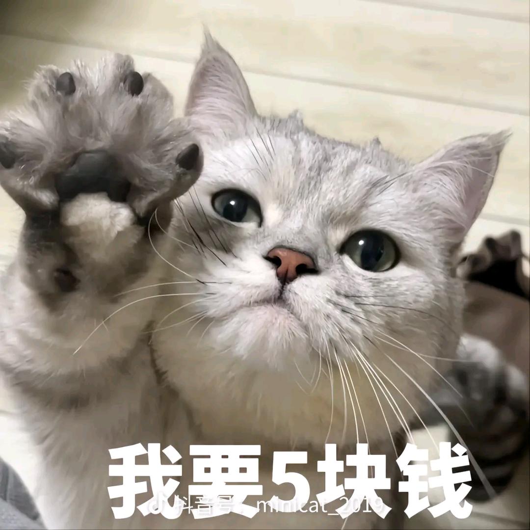 Law头像