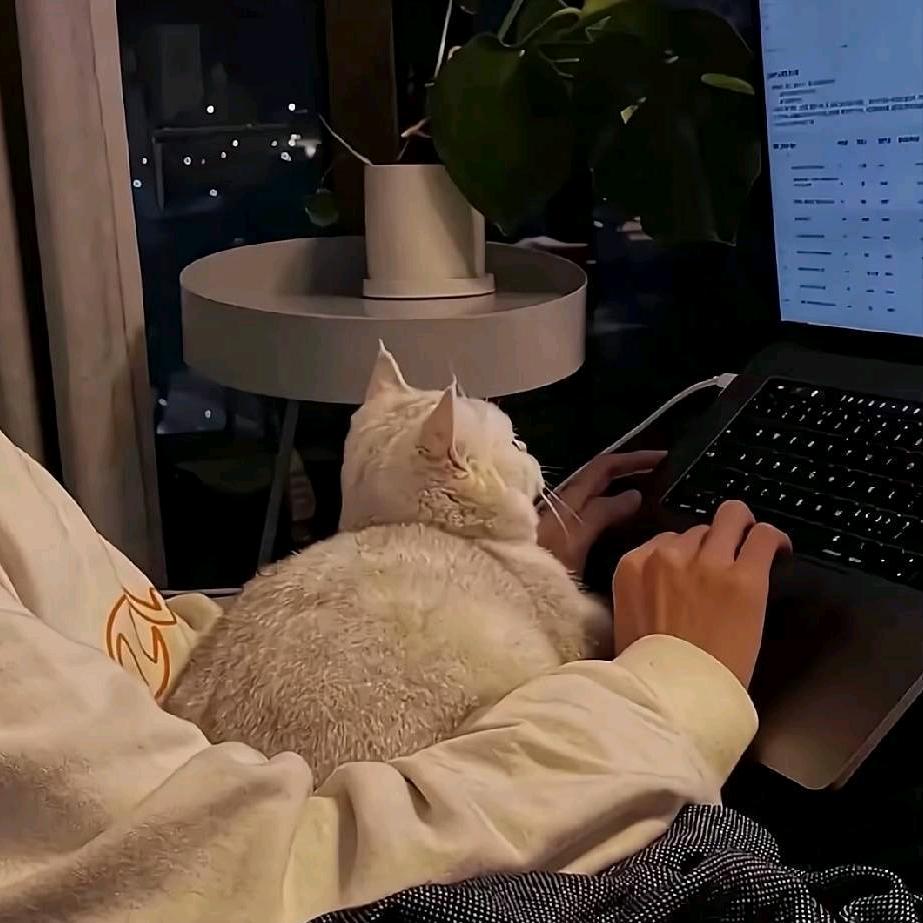 你的眼中有星辰