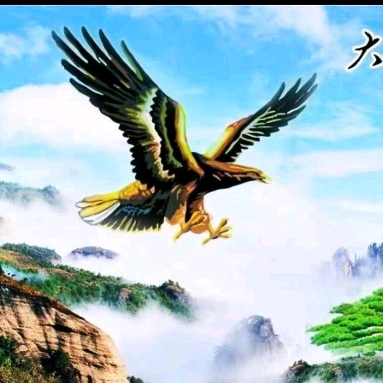 雄鹰展翅