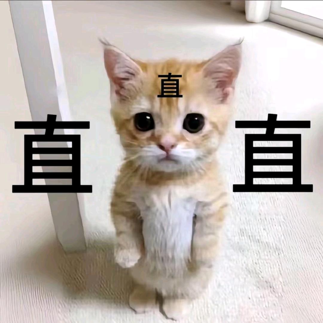 楠7