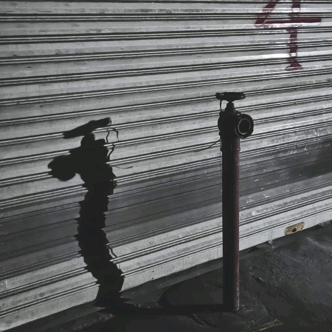 张百万壹号