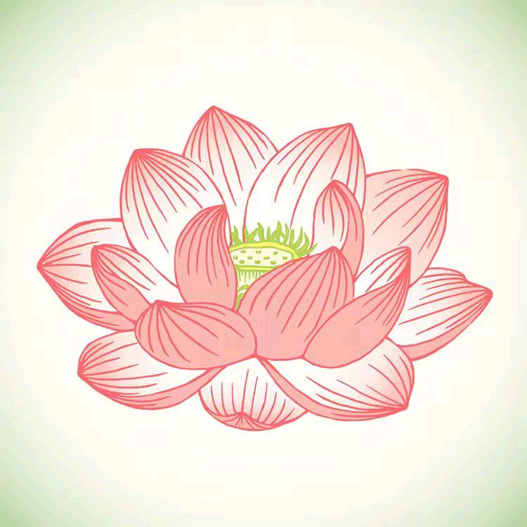 菩提花