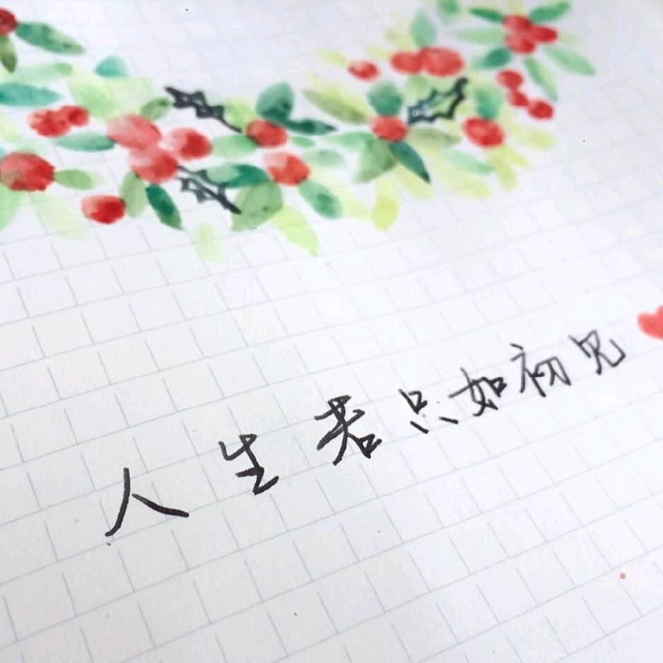 鑫鑫国兰