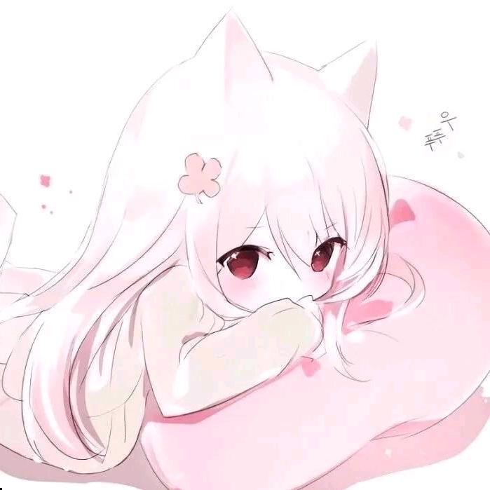 笔芯～