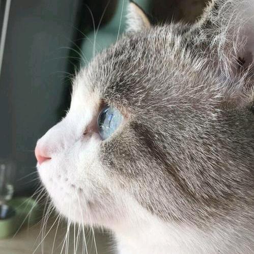 叁横壹竖