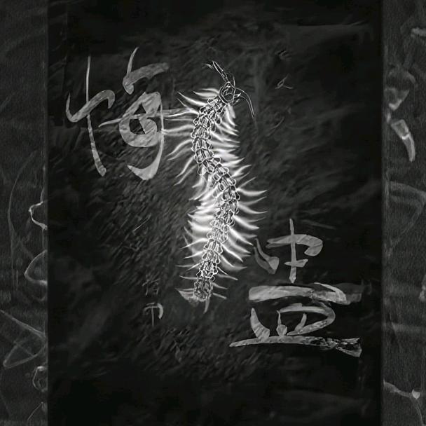 落子蜈悔