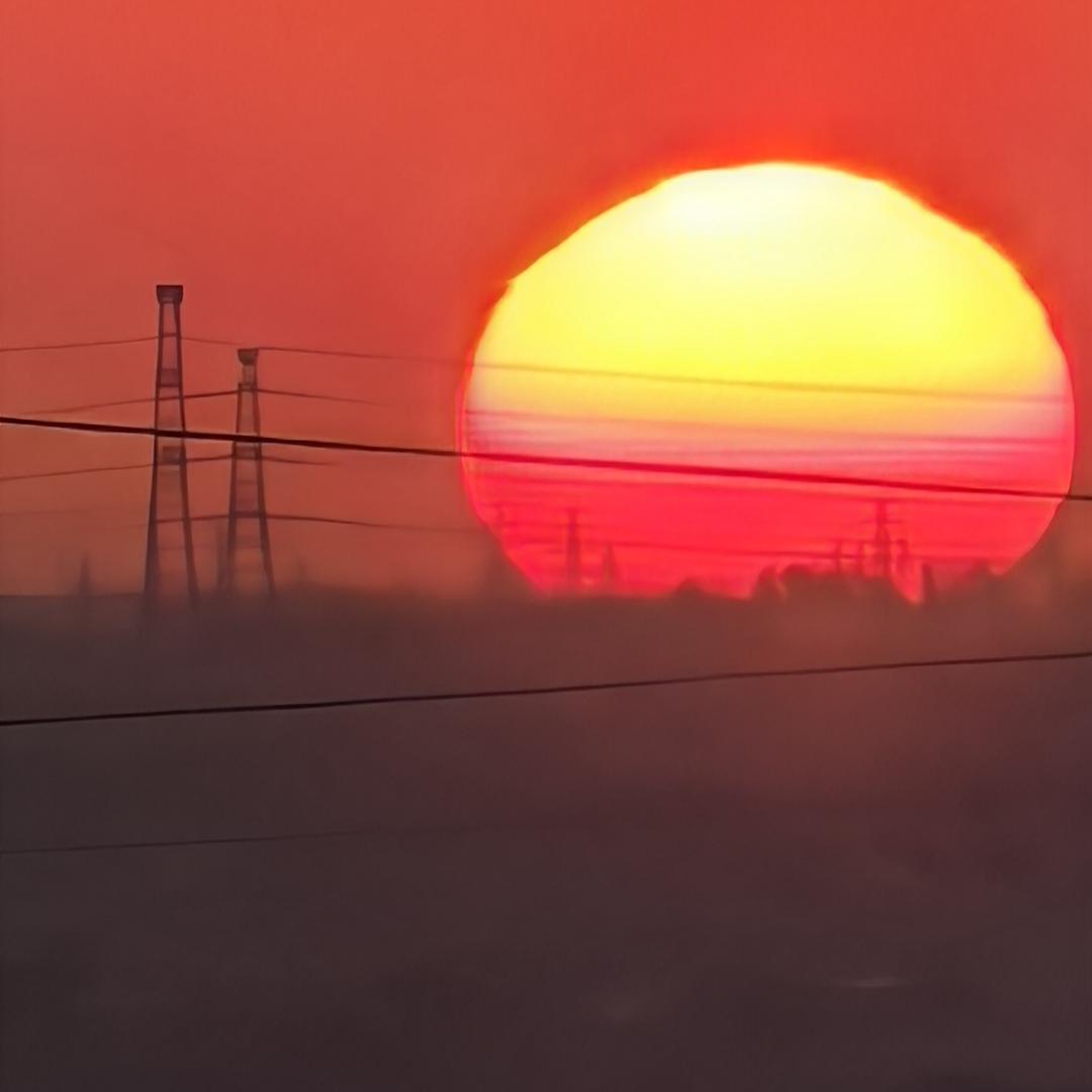 喵喵喵🐾🐾🐾