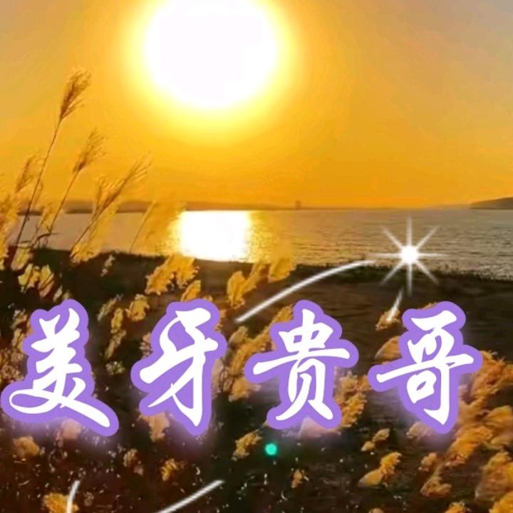 美牙贵哥