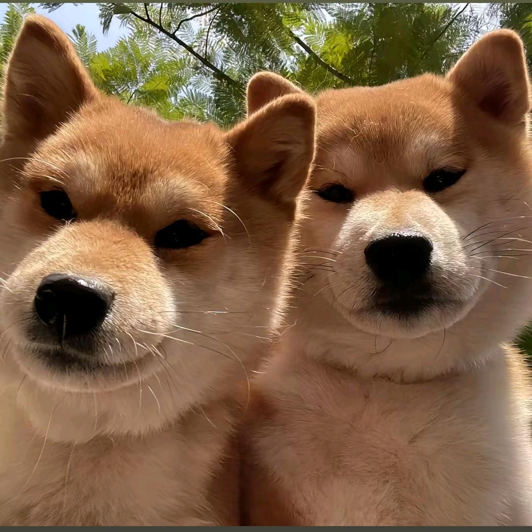 华华剧场