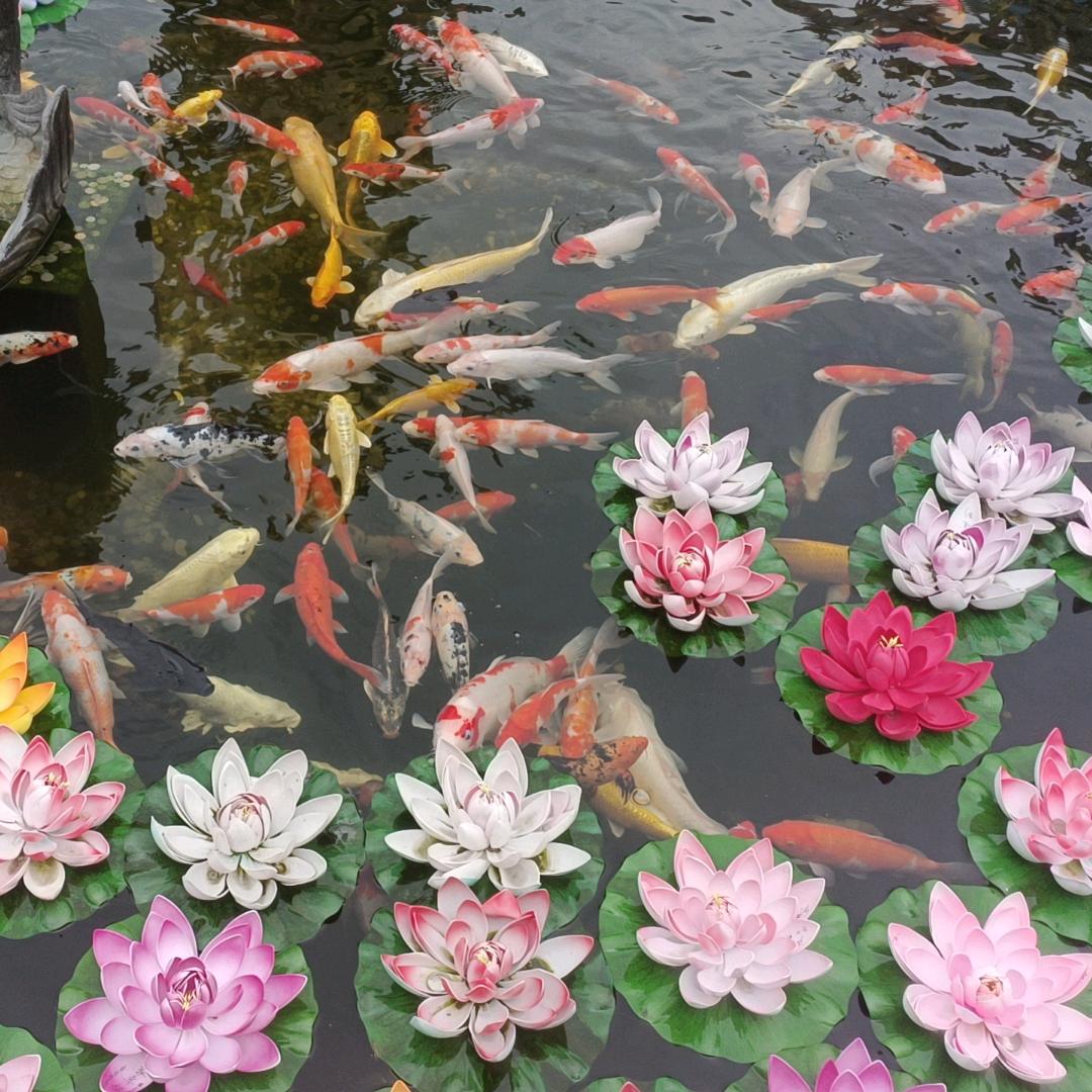 朱泾正新鸡排店