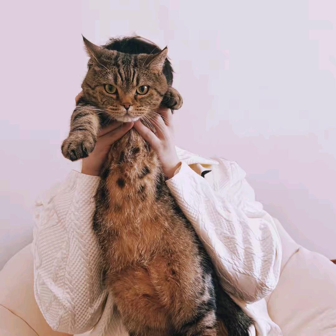 晓晓🌙