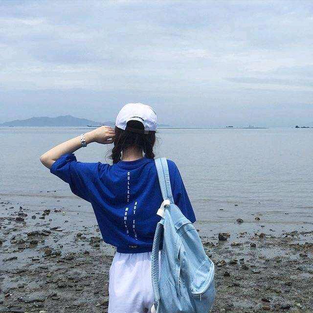 太阳花