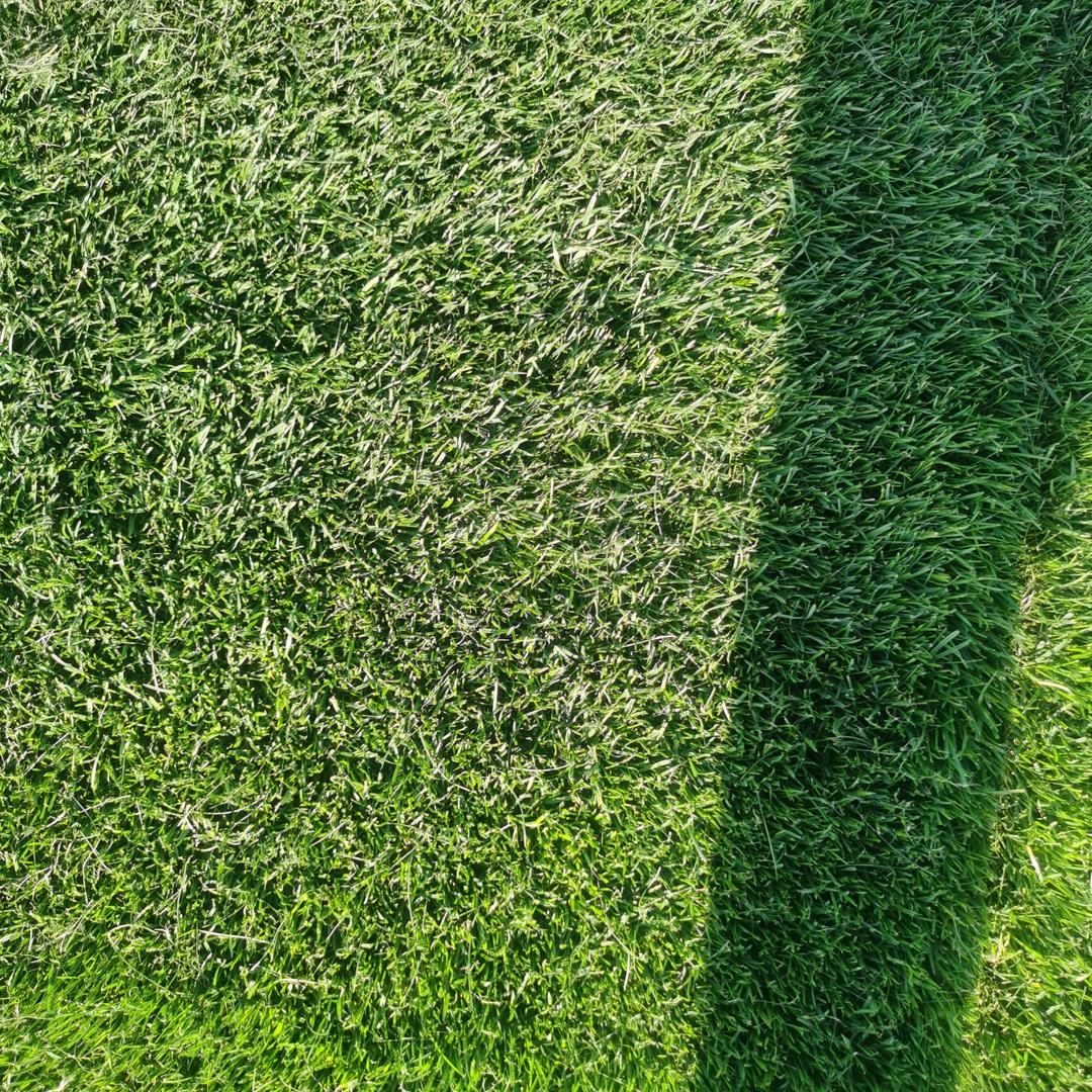 源恒草坪种植基地