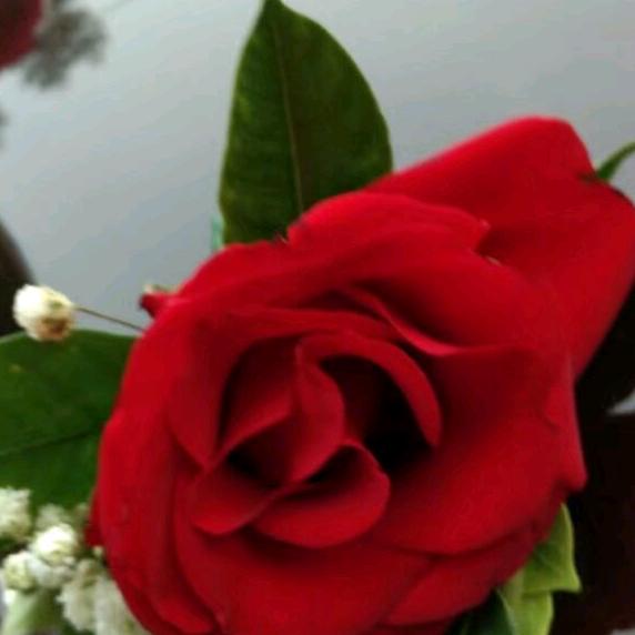 老幺寻找有缘人🌹