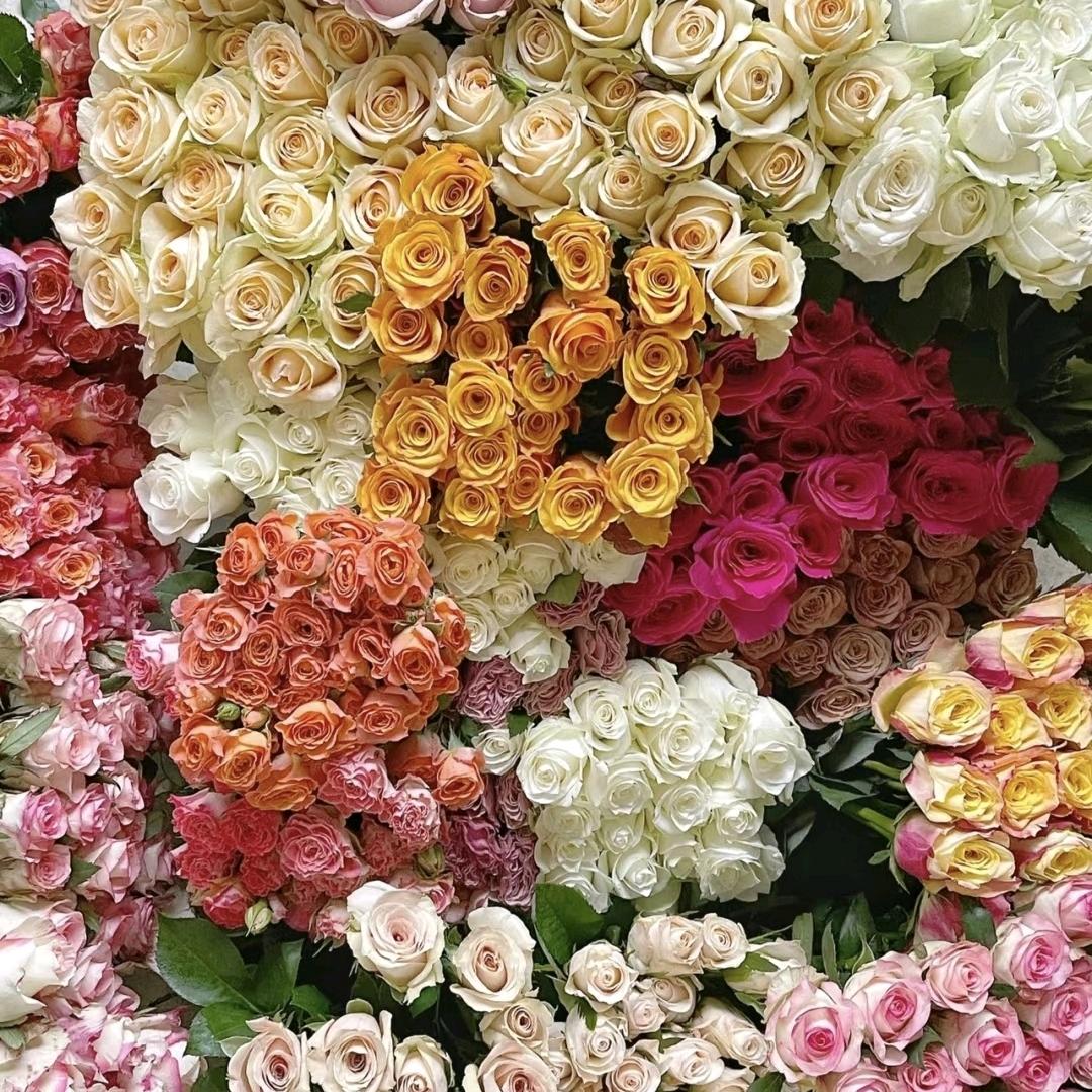 芮楠花卉大件号