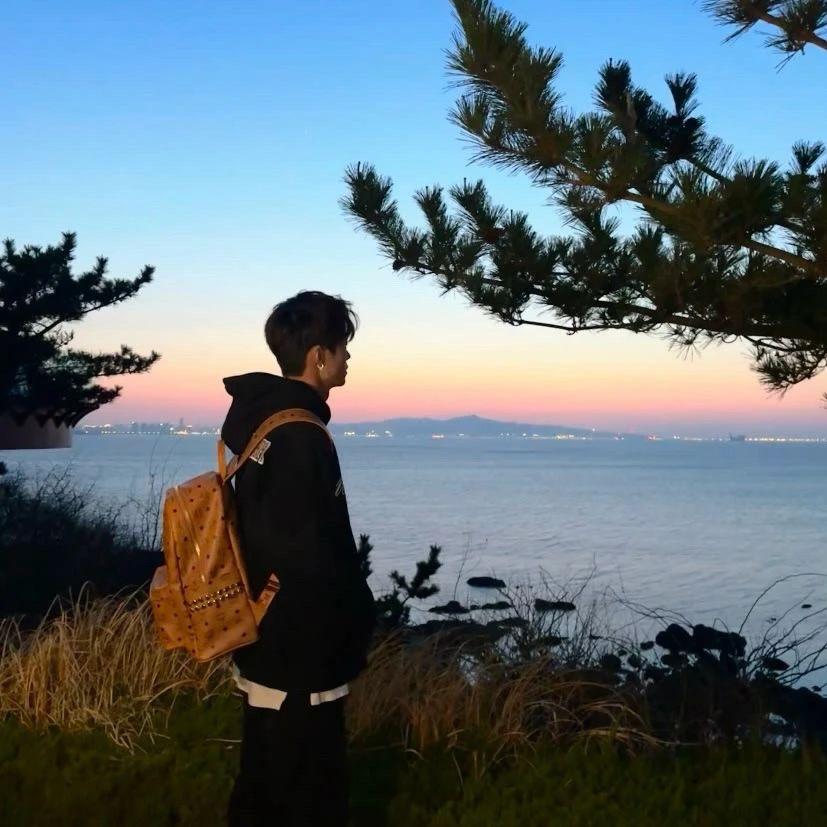 🐍🌈🌻像日葵