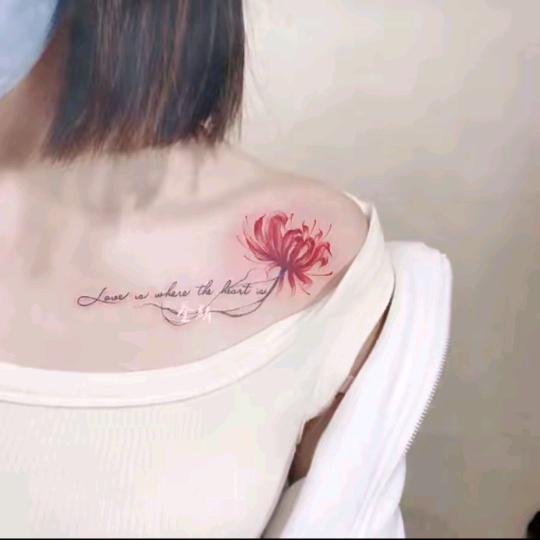 粉红色的蒲公英