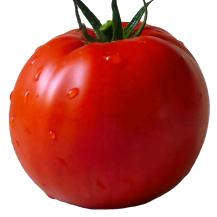 AAAA_西红柿炸裂变成番茄酱