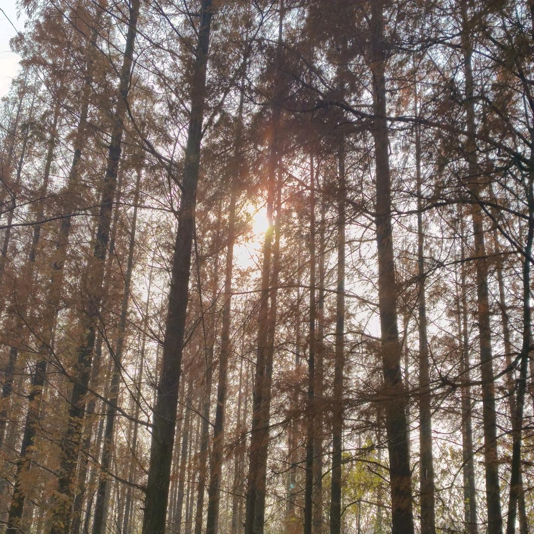 自渡*自愈