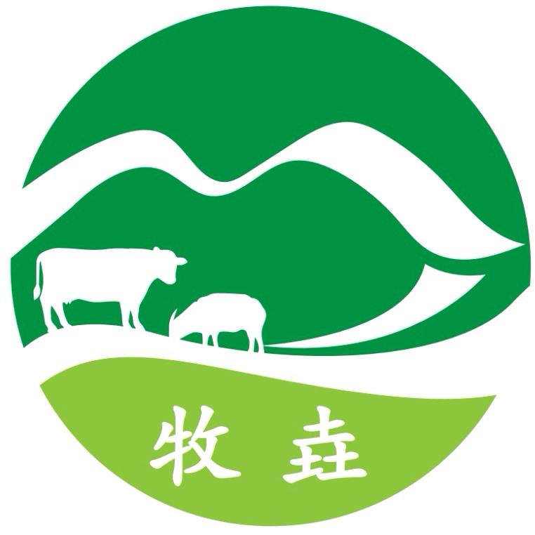 飘雪.