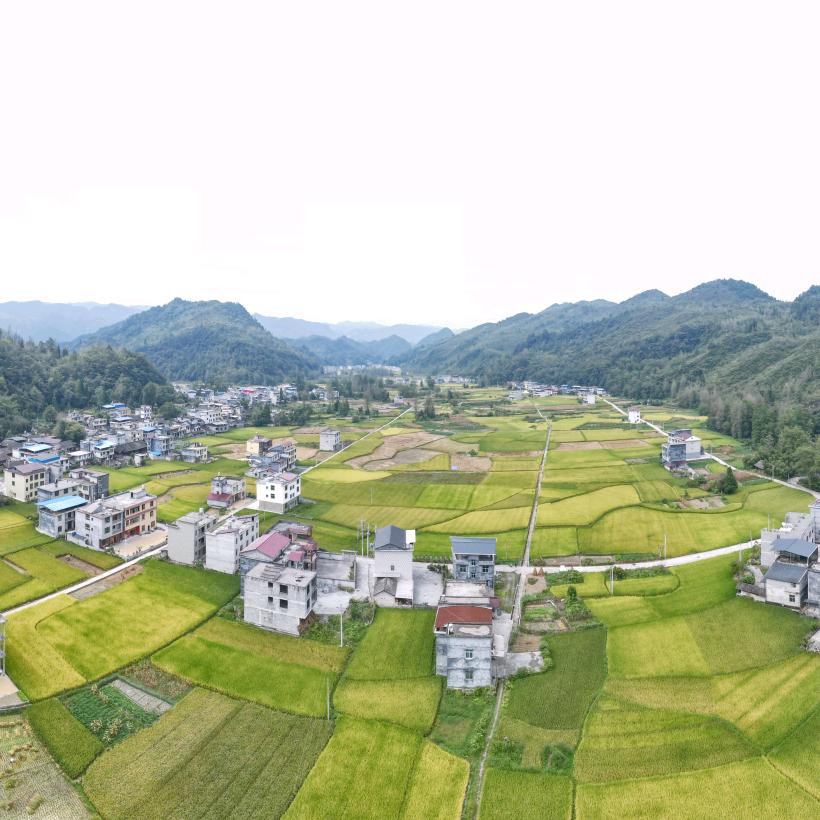 波哥 《励志团队》