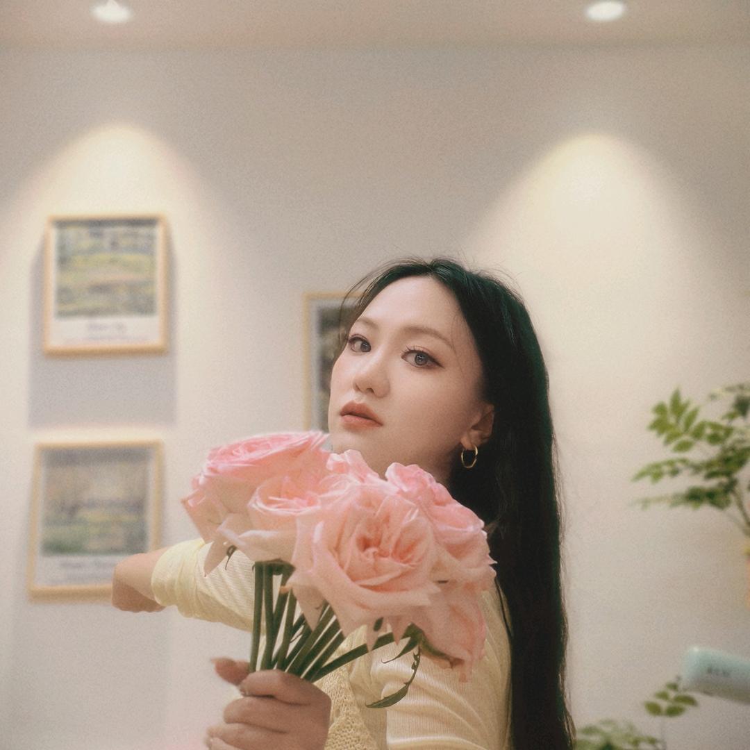 夏鱼舟的原木风小窝