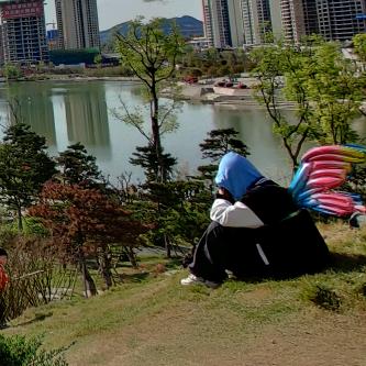 夏天（三角洲行动）