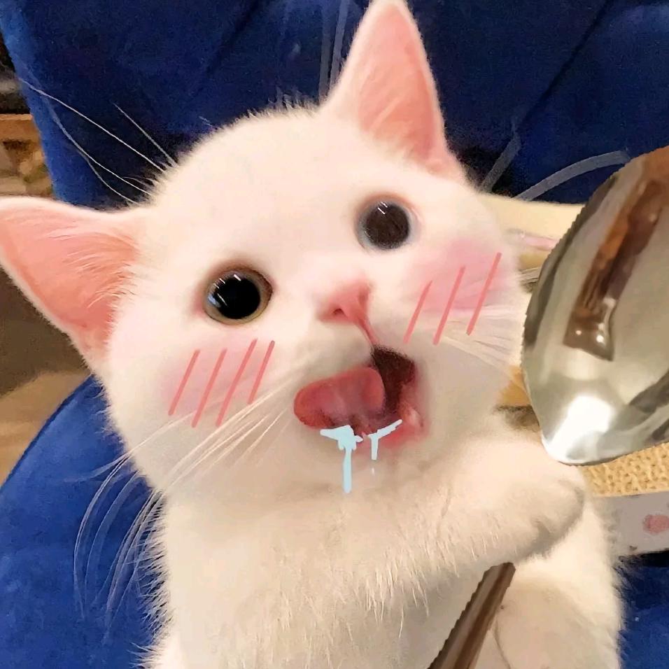 对对对，你说的都对