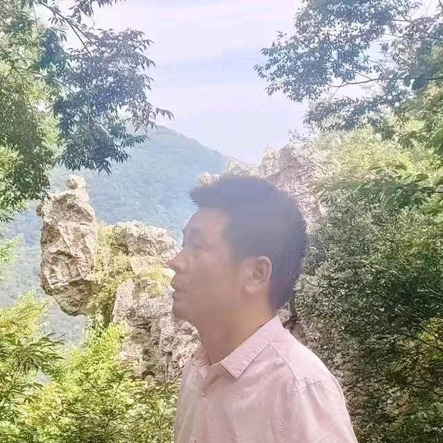 陈叫兽下南洋