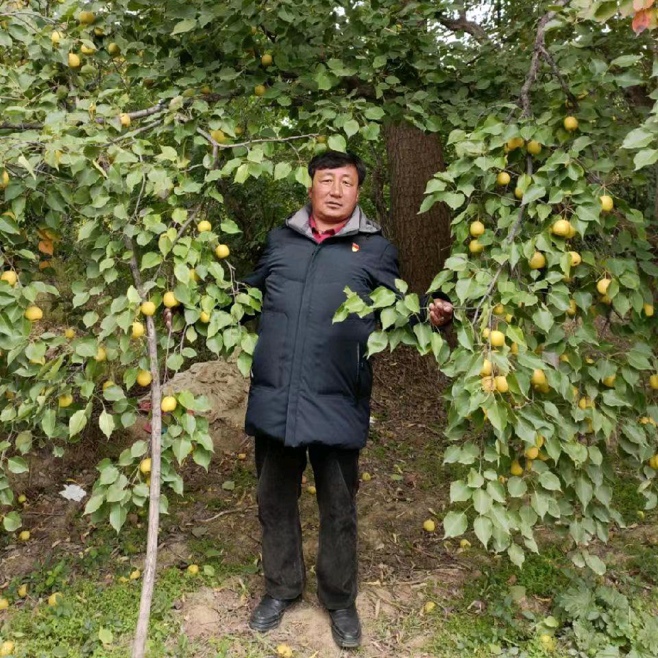 格桑顿珠
