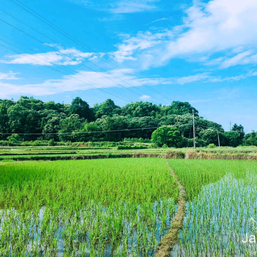 阿鹏