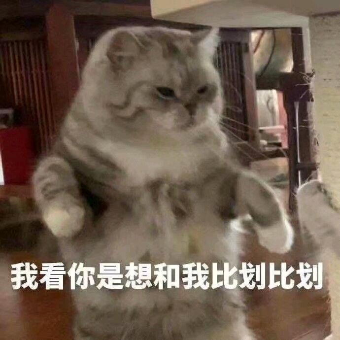 姚某某