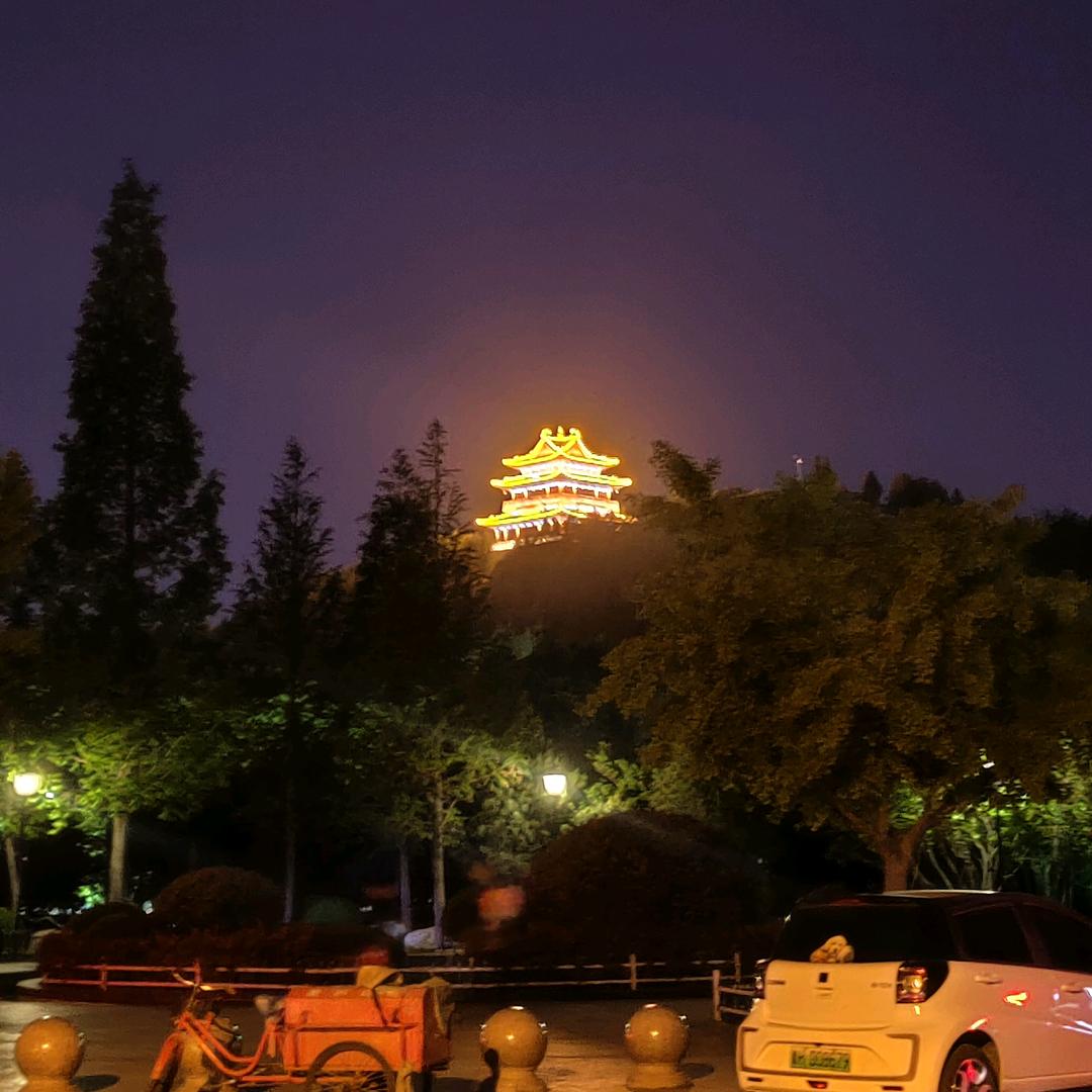 无xin