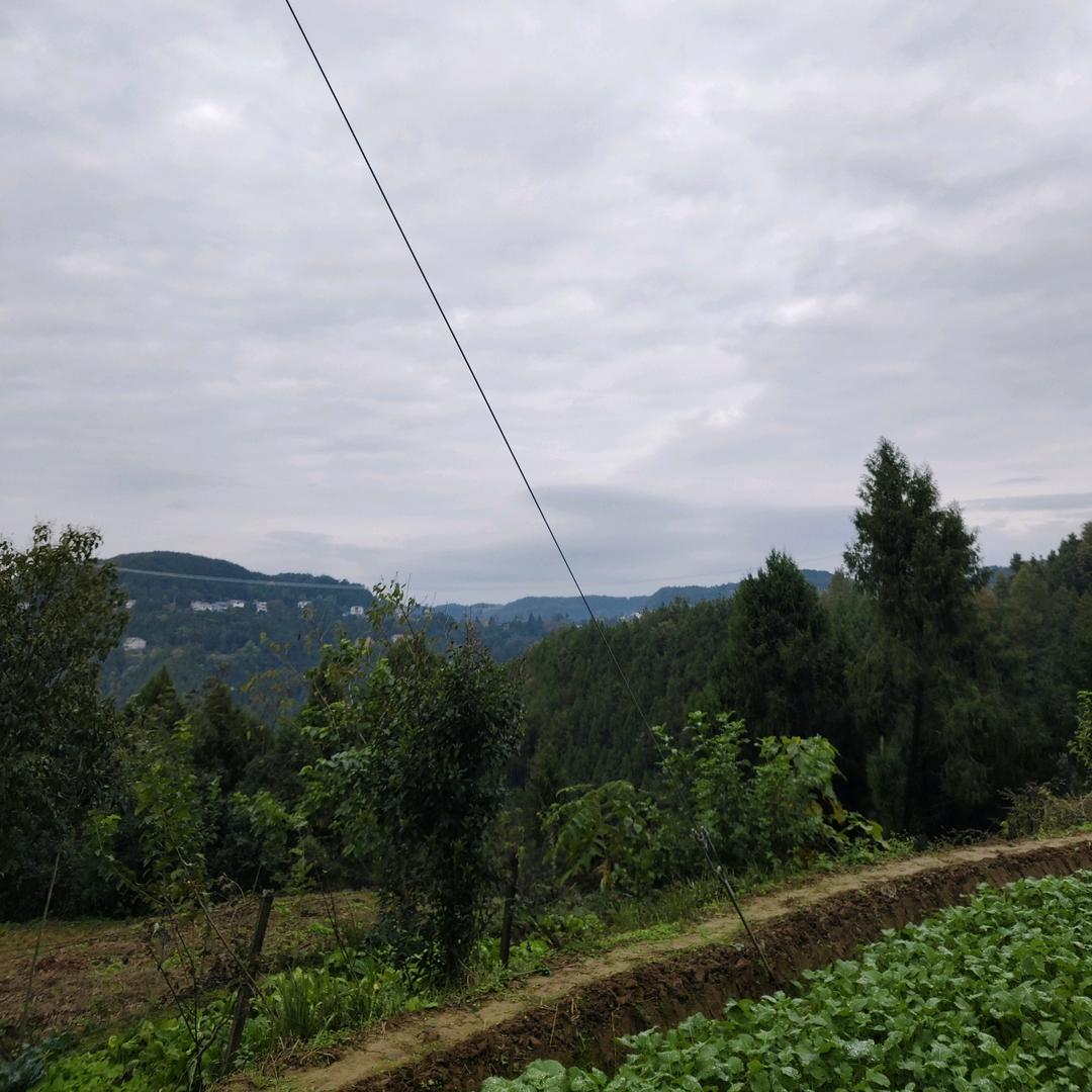 🍁人生的苦与乐💖