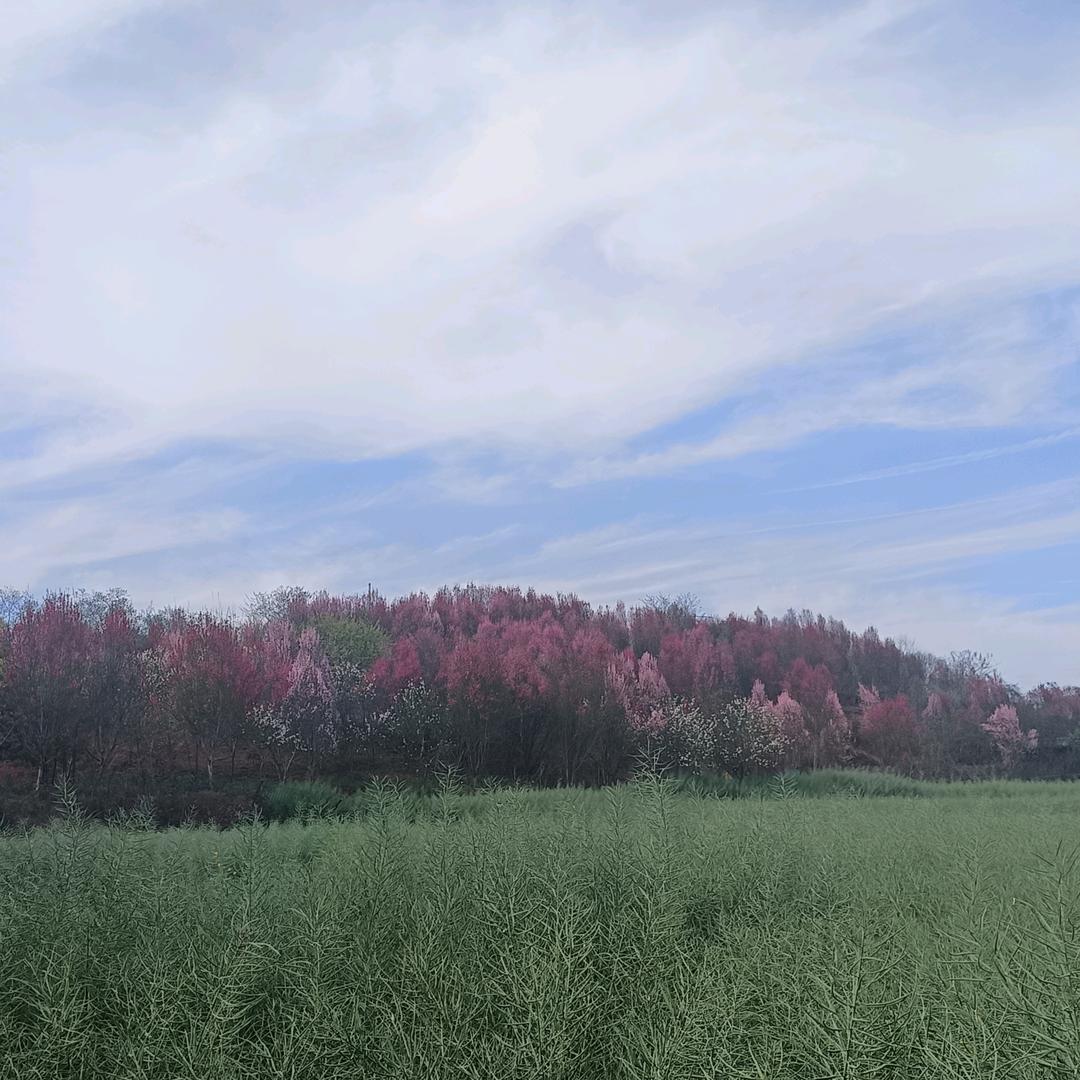 握不住的沙✌️✌️