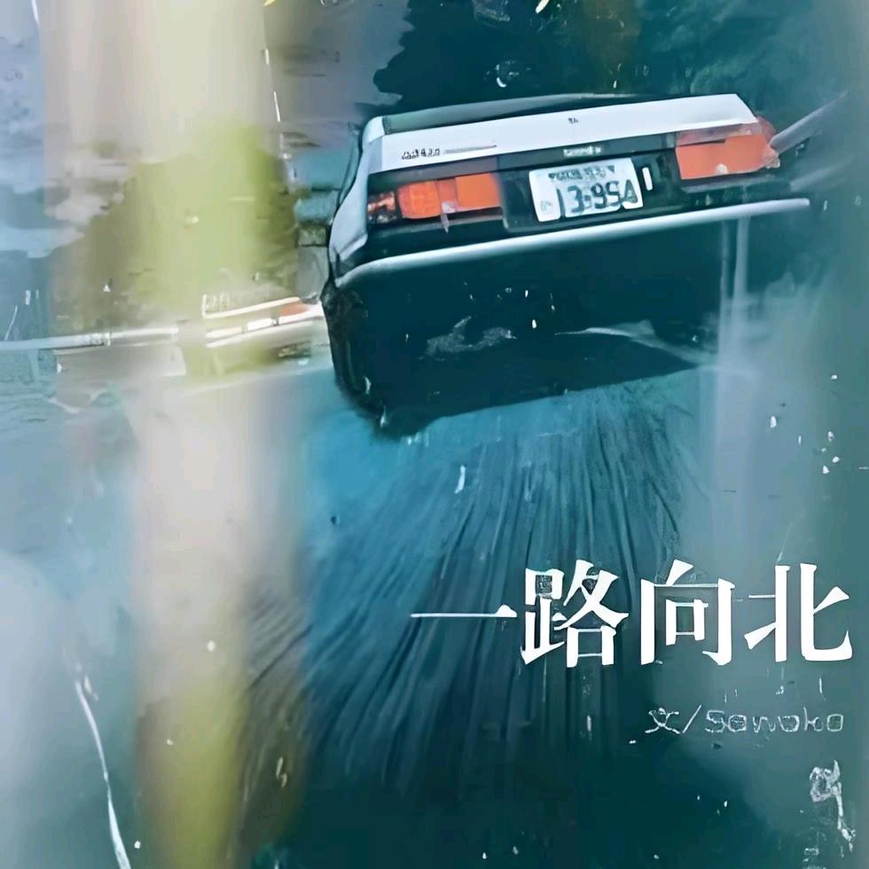 愿风裁尘
