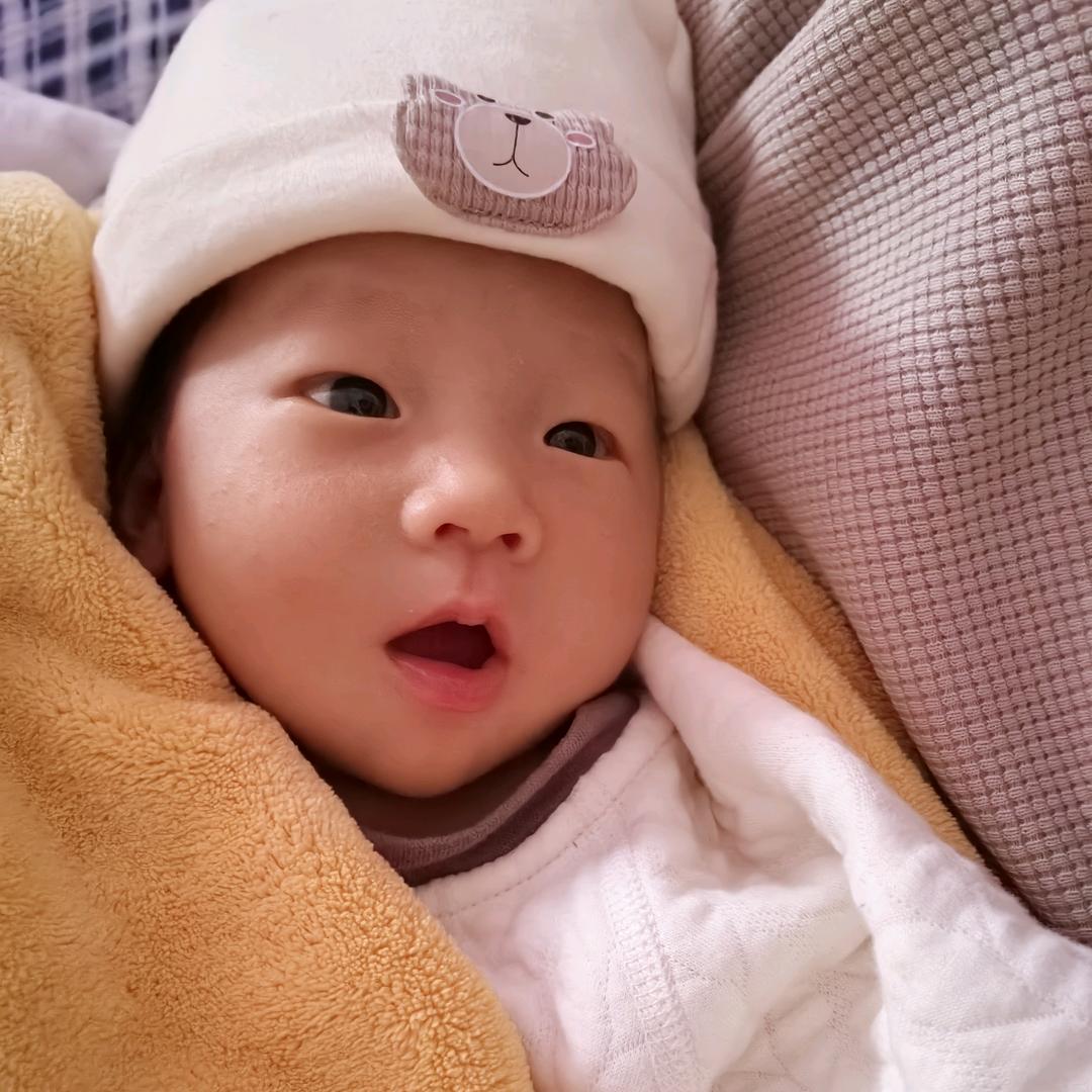龙宝墩墩