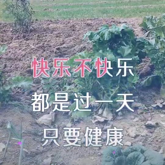 煮雪烹茶