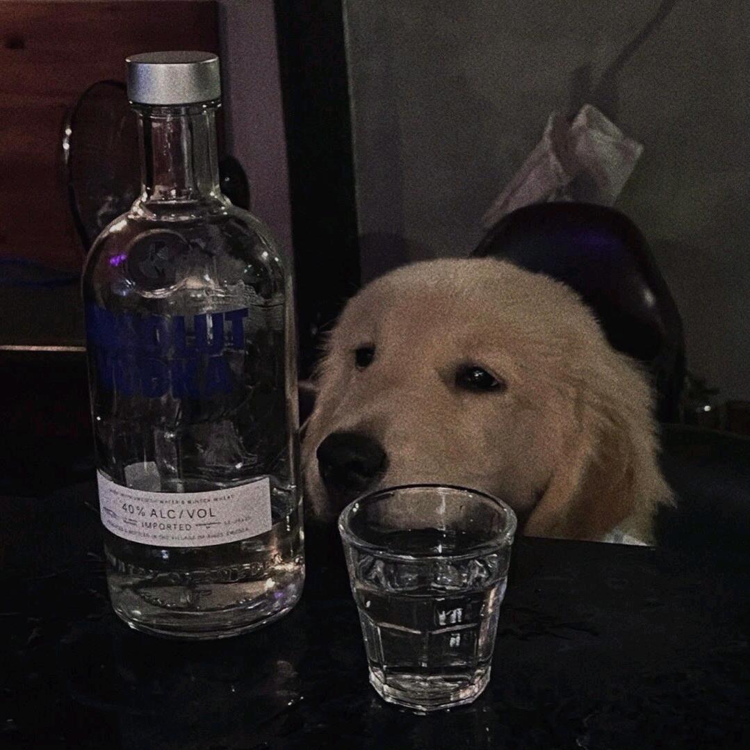 ¹杯冰⁸⁵半糖