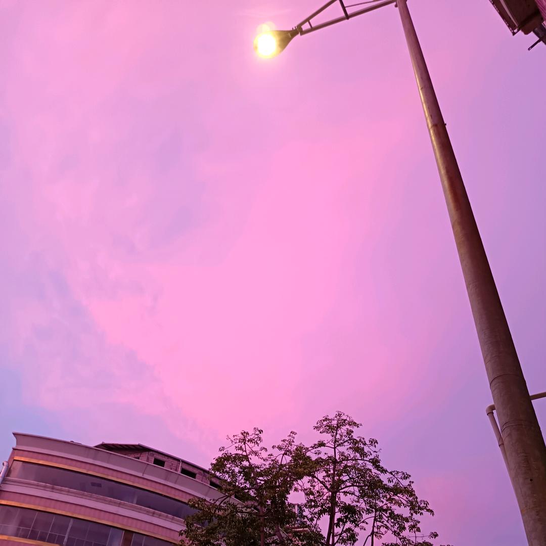 善变的30号元素