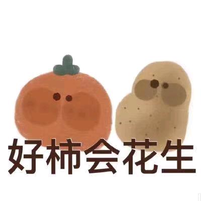 小念胖子