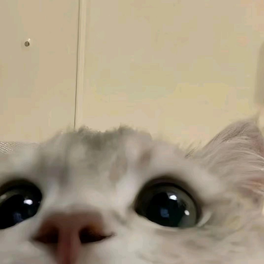 瞳殇