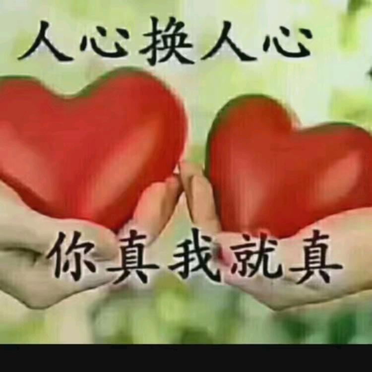 曾固松
