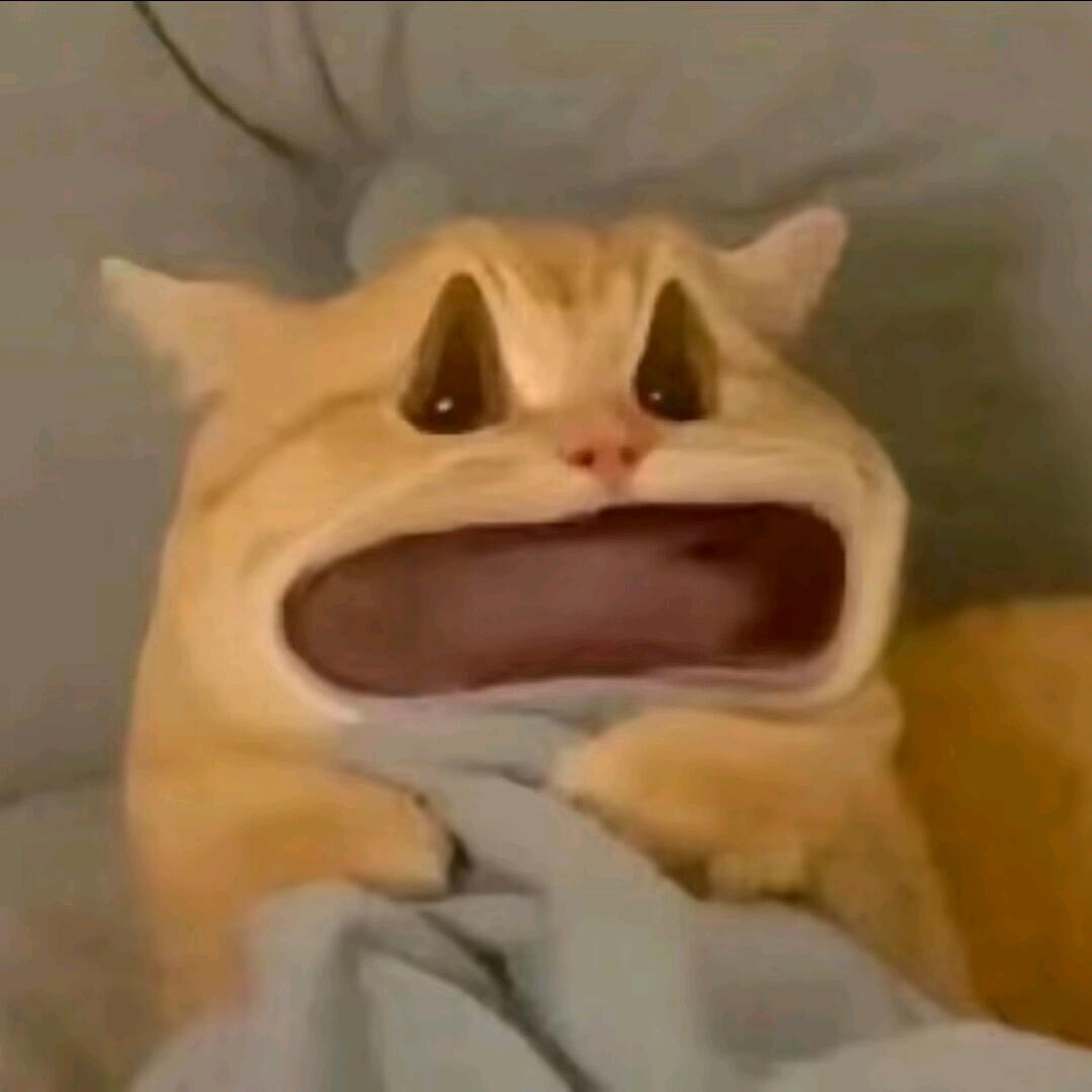 喜欢你像个小孩